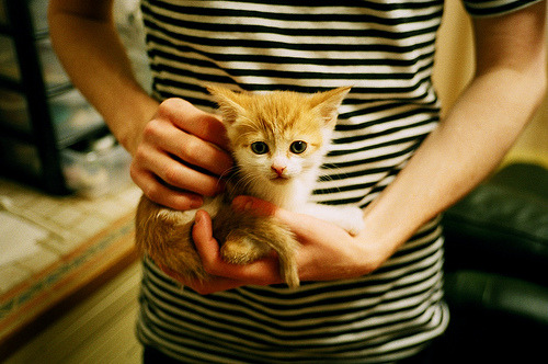 意甲裁判VAR系统中自然语言模型对误判率的干预成效