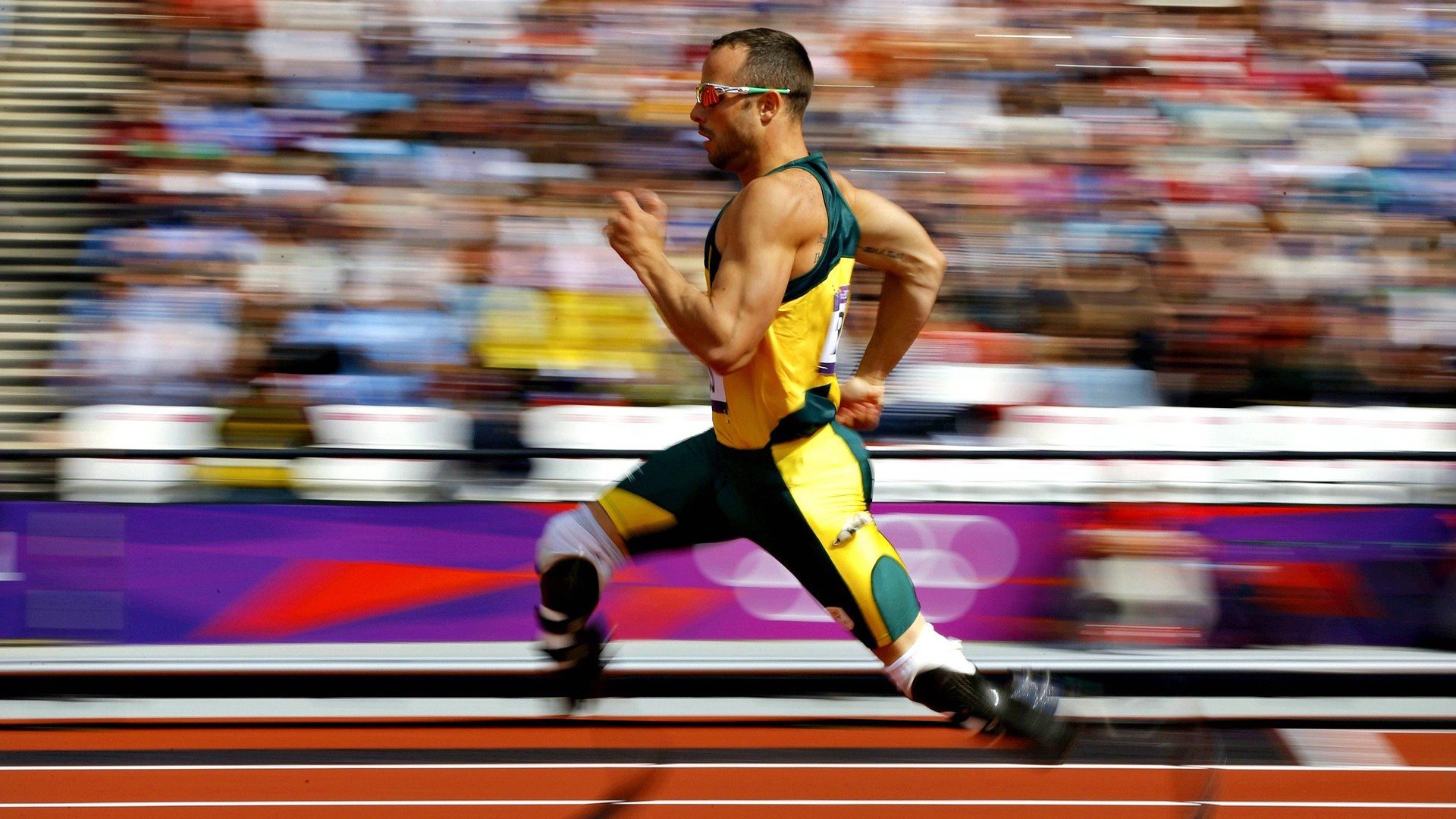 开云体育官方-中国马术队引进外籍教练,备战奥运更系统,中国的马术教练